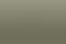 Sycamore Green