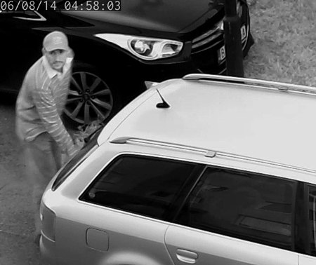 Car Thief caught on camera Car Thief caught on camera