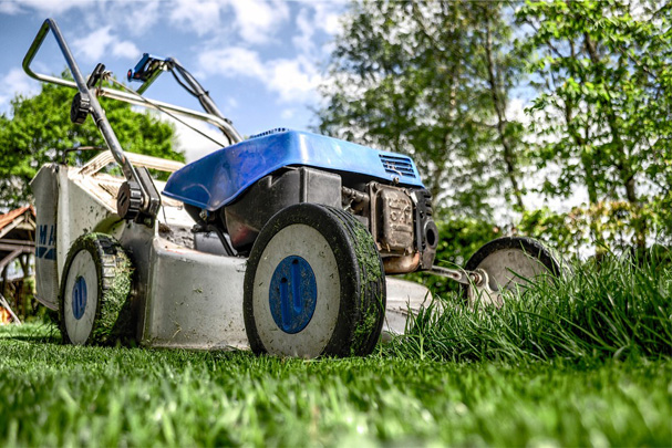 The best vans for gardeners