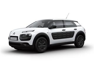 C4 Cactus