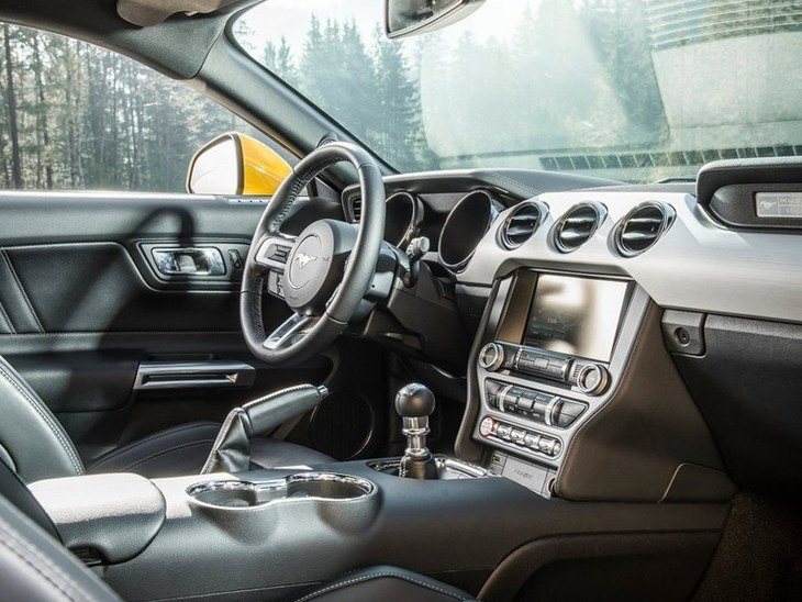 Ford Mustang Fastback Black Interior