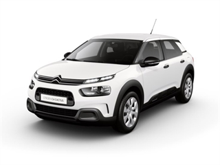 C4 Cactus