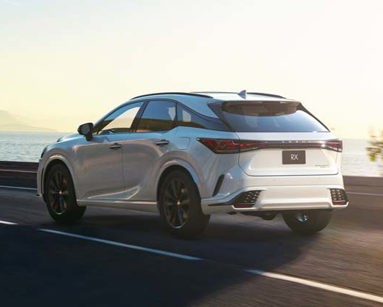 Lexus Seven Seater