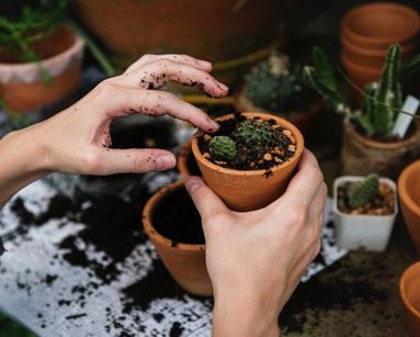 A photo of woman planting a new plant.
