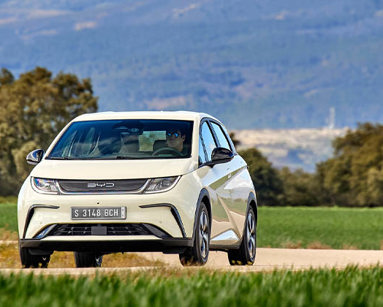 BYD hatchback hero image
