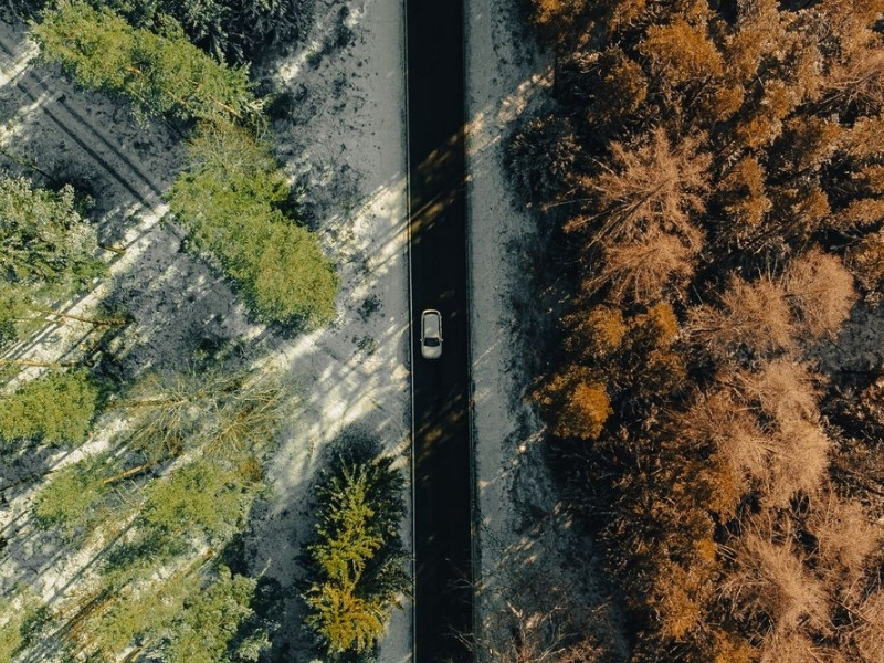 Drone shot of a car driving through a winter forest dividing green and brown trees in Ilmenau, Germany.