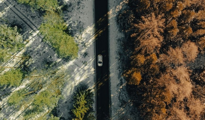 Drone shot of a car driving through a winter forest dividing green and brown trees in Ilmenau, Germany.