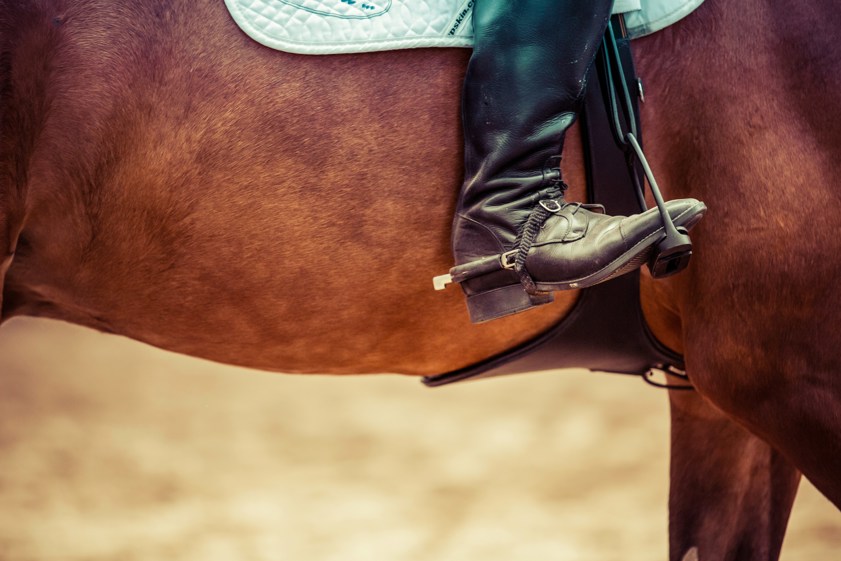close up of person riding horse