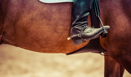close up of person riding horse