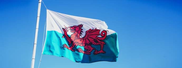 welsh flag flying on pole