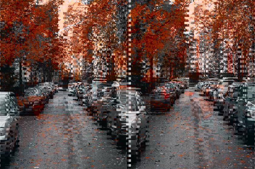 cars parked on the side of a suburban road during autumn