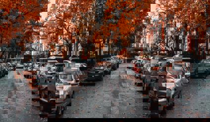 cars parked on the side of a suburban road during autumn
