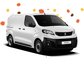 Homepage van image