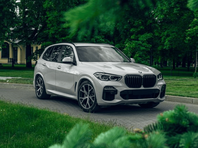 A sleek white SUV parked amidst lush green foliage, capturing a serene park environment.