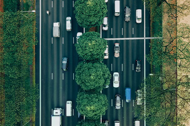 The Diversity of Different Driving Cultures
