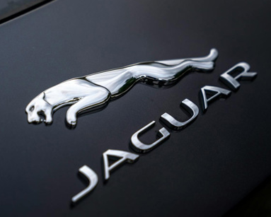 Close up of a Jaguar logo on a black car
