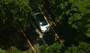 a car drives on a road surrounded by trees