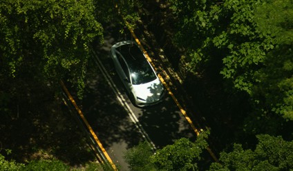 a car drives on a road surrounded by trees