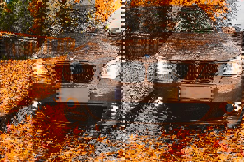 BMW parked on the side of the road surrounded by brown leaves