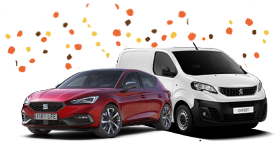 Cars & Vans