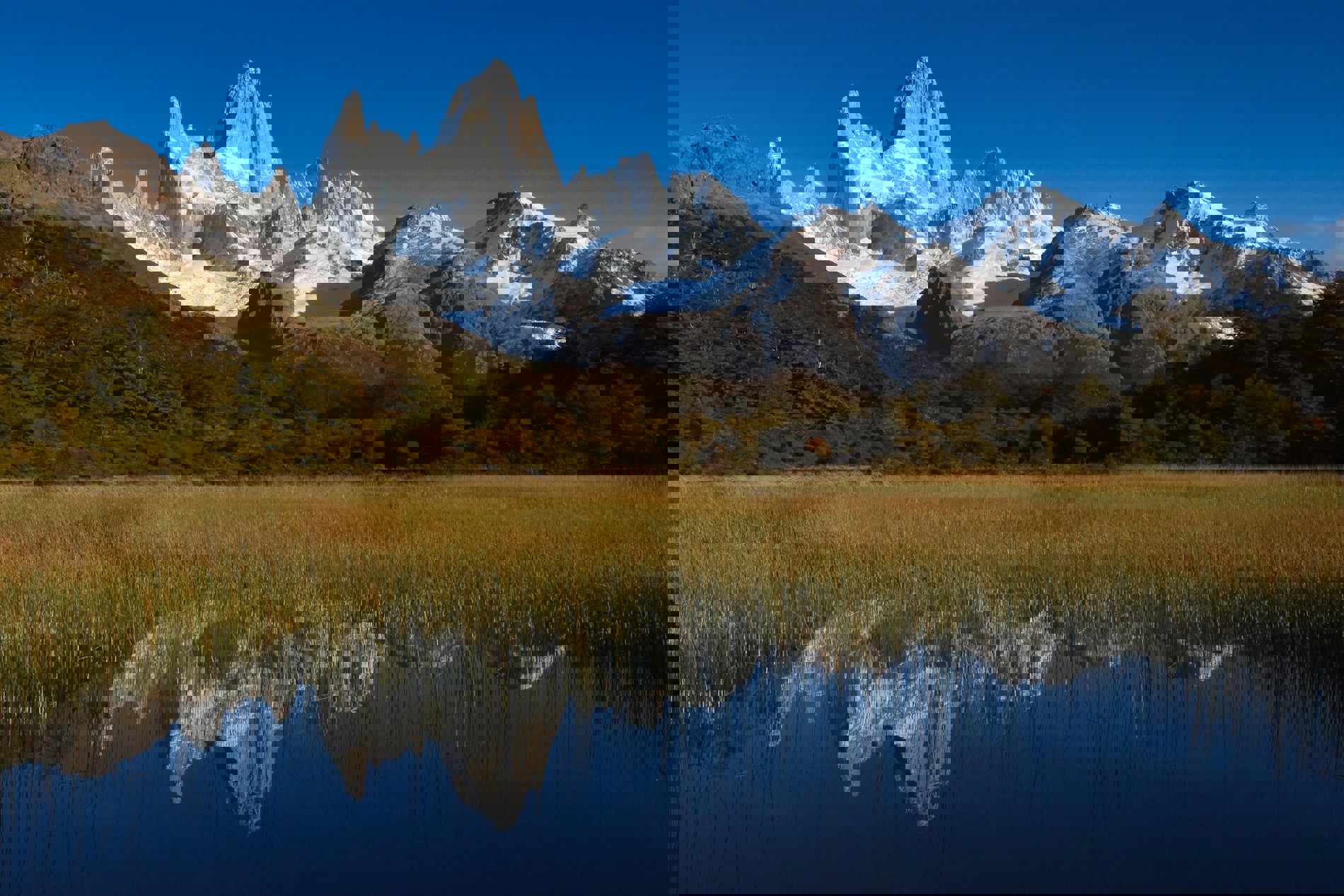 The Best Top Gear Specials Nationwide Vehicle Contracts