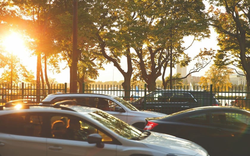 cars parked on the side of a road with trees and a fence