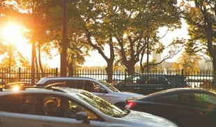 cars parked on the side of a road  with trees and a fence