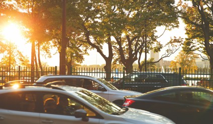 cars parked on the side of a road  with trees and a fence