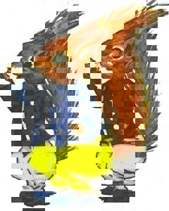 Image copyright of RoSPA