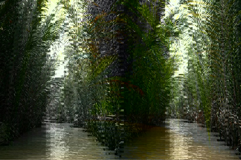Mekong Delta
