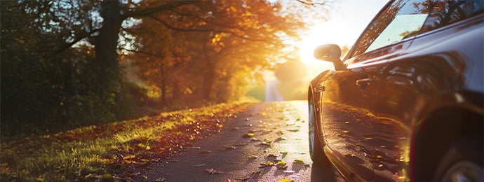 Close-up of a car driving on a wet autumn road covered with fallen leaves at sunset