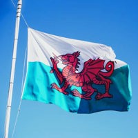 welsh flag flying on pole