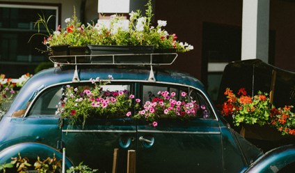 a car with a bunch of flowers on top of it