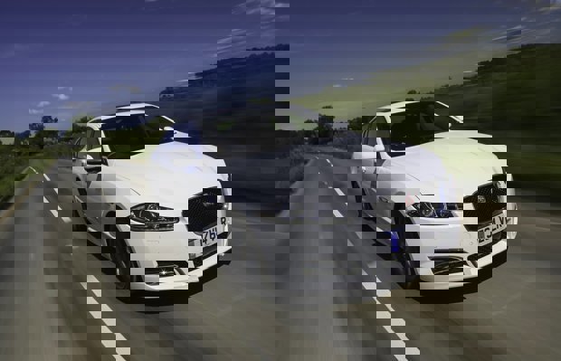 The front of a white jaguar