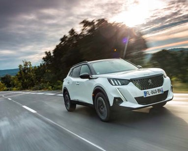 Peugeot 4x4 and Crossover