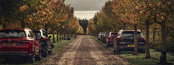 Row of parked cars under apple trees in a UK orchard during autumn