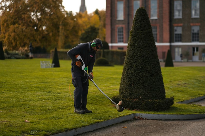person gardening
