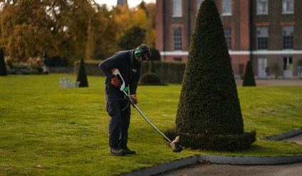 person gardening