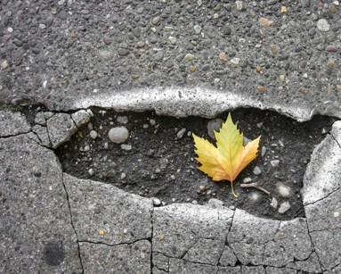 Pothole with leaf in the middle