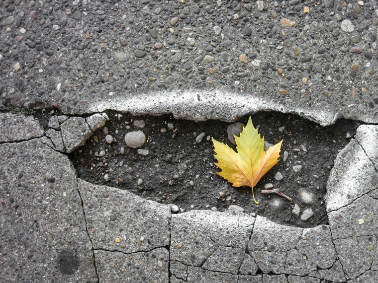 Pothole with leaf in the middle
