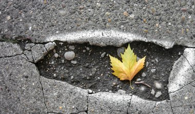 Pothole with leaf in the middle