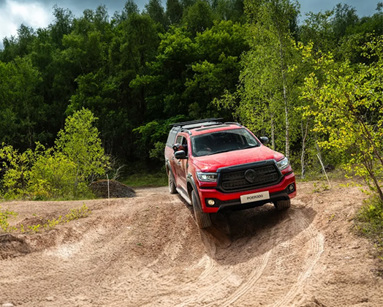 GWM Pickup Cars