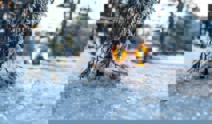 car on snow during daytime