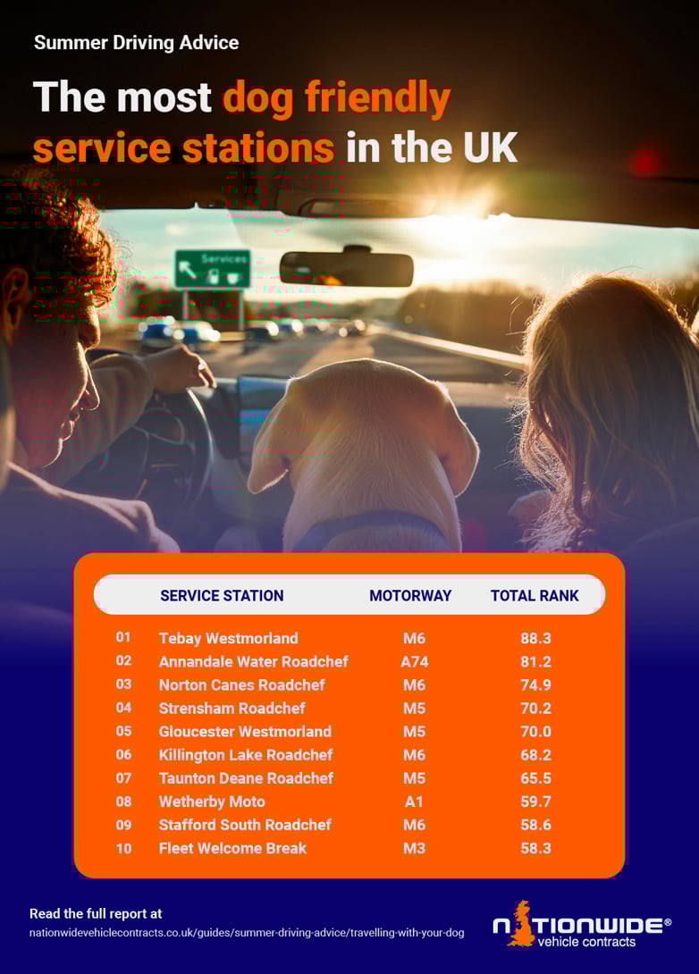 infographic showing dog friendly service stations