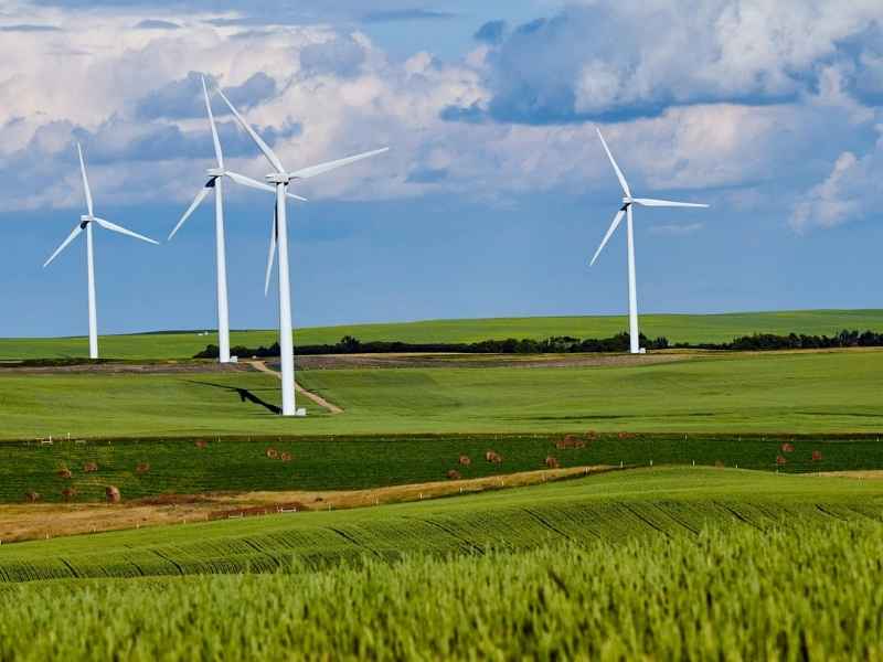 Four white windmills in a lush green field with blue skies in the background.
