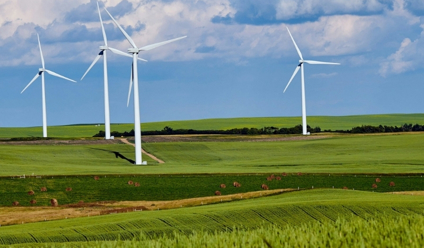 Four white windmills in a lush green field with blue skies in the background.