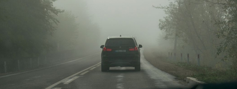 A car drives down a mist-covered road surrounded by trees, creating a mysterious atmosphere.
